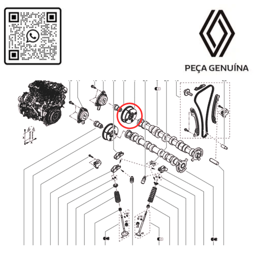 RN 55174R        POLIA DO COMANDO DE ESCAPE . 1.0 H5D_1.3 16V H5H CAPTUR DUSTER OROCH MB   130255174R -5-